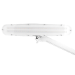 Kosmetologinė-LED-lempa-801-TL-Elegant